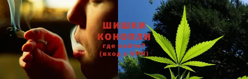 Канабис Ganja  Гороховец 